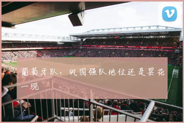 葡萄牙队,巩固强队地位还是昙花一现
