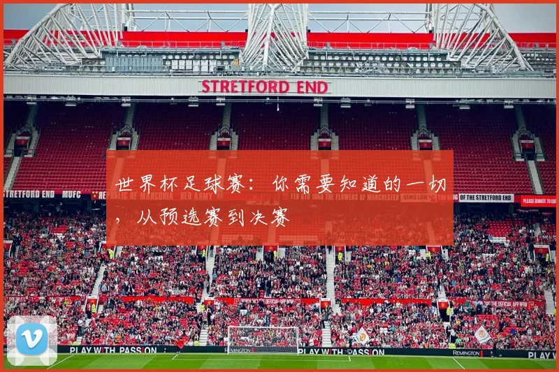 世界杯足球赛：你需要知道的一切，从预选赛到决赛
