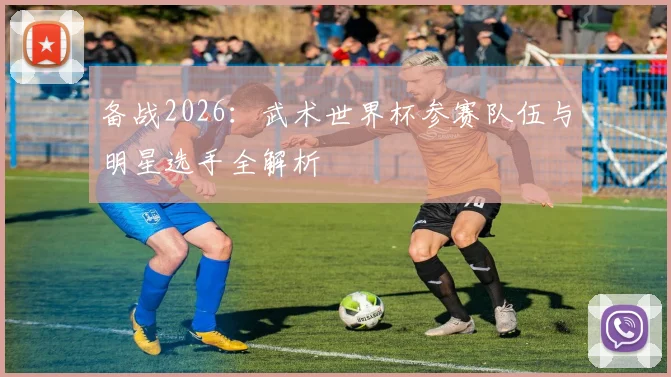 备战2026:武术世界杯参赛队伍与明星选手全解析