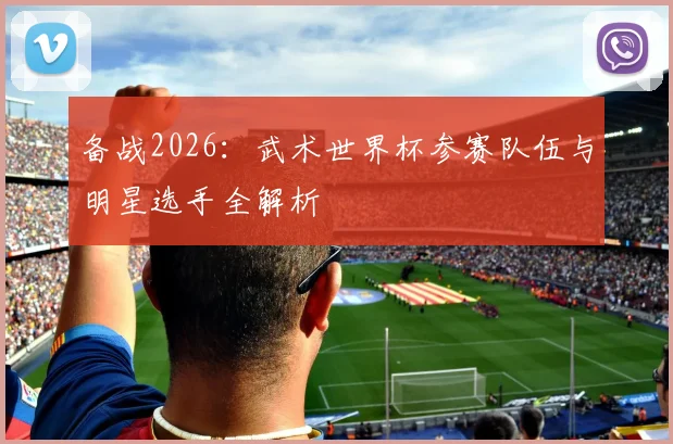 备战2026:武术世界杯参赛队伍与明星选手全解析